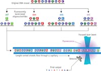 FIGURE 1. The original Sanger sequencing method was based on terminated polymerizations and labeling with radioactive nucleotides followed by length separation using electrophoresis on gel plates. It was modified to use fluorescent nucleotides, capillary electrophoresis separation, and laser detection, enabling first-generation automation.