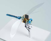 FIGURE 1. A prototype cyborg dragonfly carries sensors and a photovoltaic power supply; the addition of optogenetically controlled steering will complete the conversion of this insect into a tiny externally controlled drone that can continually power itself by pausing to eat other insects.