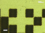 FIGURE 1. This small two-dimensional barcode mark produced on metal is of a type used in the automotive industry.