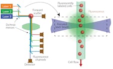 FIGURE 1. In flow cytometry, cells move in single file in a narrow flow stream, where they are excited by one or more laser beams.