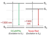 FIGURE 1. Three-photon excitation uses 3x the wavelength as conventional one-photon absorption. The 1300 nm excitation scheme shown here is for GCaMP6s, a genetically expressed calcium indicator. Recently Chris Xu and colleagues have demonstrated that 1300 nm can also excite longer-wavelength dyes such as Texas Red, a fluorescent dye that can be bonded to antibodies to label specific cellular components.