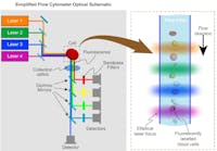 FIGURE 1. In a flow cytometer, fluorescently labeled cells pass single-file in a flow stream and are illuminated by several different laser wavelengths. The resulting fluorescence is detected after separation into different wavelength bands.
