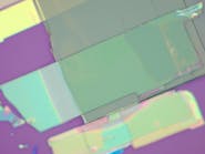 Two thin flakes of niobium oxide dichloride stacked on each other and photographed under a light microscope. One flake&rsquo;s crystalline grain (gray flake) is positioned perpendicularly to the grain of the other flake (green flake).