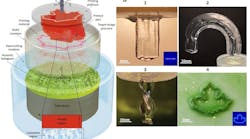 FIGURE 1. Schematic of the HDSP setup (a), printed parts with line cross-section and different extrusion paths for parts 1-3 (b), and a complex object in 4 with the shown pressure pattern in the inset.
