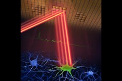Depiction of the adaptive sampling scheme, in which a laser beam patterned by a digital micromirror device selectively illuminates neurons and their activity in brain tissue.