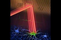 Depiction of the adaptive sampling scheme, in which a laser beam patterned by a digital micromirror device selectively illuminates neurons and their activity in brain tissue.