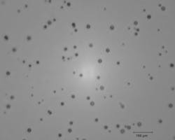 FIGURE 3. Microscope image of ion track in etched CR39 nuclear track detector; smaller spots represent protons and larger spots alpha particles tracks.