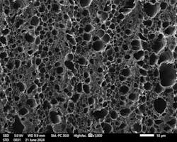 Image of Gii taken with a scanning electron microscope.