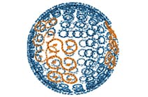 FIGURE 1. Transforming bacteria into solar-powered lasers: we extract light-harvesting structures from bacteria (left), enhance them with proprietary specially engineered lasing units (middle), and place them into a lasing cavity (right) to create a new type of laser that runs directly on sunlight. The natural light-gathering rings (green/purple) of purple bacteria measure 60-nm across and achieve near-perfect efficiency in energy transfer of captured photons.