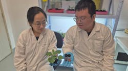 Lead researchers Dr. Song Wang (left), a research scientist at SMART DiSTAP, and Dr. Yangyang Han (right), a senior postdoctoral associate at SMART DiSTAP. Lead researchers Dr. Song Wang (left), a research scientist at SMART DiSTAP, and Dr. Yangyang Han (right), a senior postdoctoral associate at SMART DiSTAP.