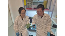 Lead researchers Dr. Song Wang (left), a research scientist at SMART DiSTAP, and Dr. Yangyang Han (right), a senior postdoctoral associate at SMART DiSTAP.