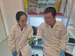 Lead researchers Dr. Song Wang (left), a research scientist at SMART DiSTAP, and Dr. Yangyang Han (right), a senior postdoctoral associate at SMART DiSTAP.