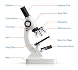 Adobe Stock 110493421 768x690