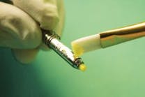 Shared User Prccfeed00cdc24d6daaf14bbc038c1550