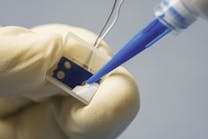 Shared User Prebf086cb00f143a497863a9fafbc08c9