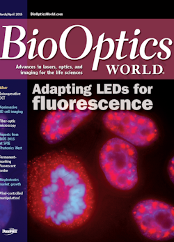 Volume 8, Issue 2 cover image