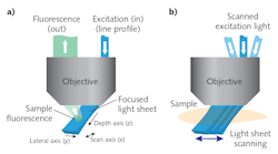 FIGURE 1. In SCAPE, a light sheet is formed at an oblique angle by off-axis illumination of the primary microscope objective with a line profile beam (a); SCAPE builds a volumetric image by scanning the light sheet while capturing a series of images of the illuminated plane (b).