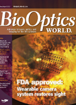 Volume 6, Issue 2 cover image