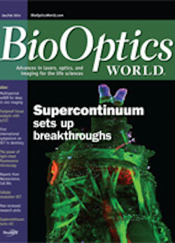 Volume 7, Issue 1 cover image