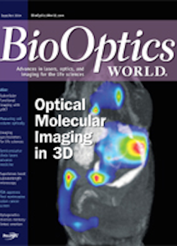 Volume 7, Issue 5 cover image