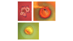 FIGURE 1. High magnification reveals images of high-energy laser-induced damage on coated surfaces.